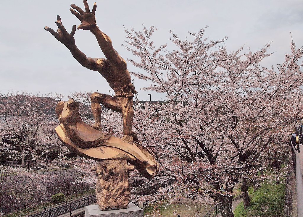 桜と疎水