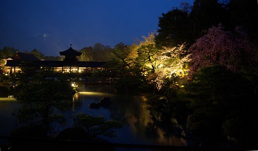 【桜】　京都平等院にて