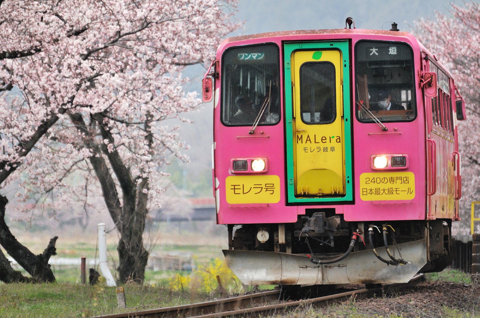 モレラ号