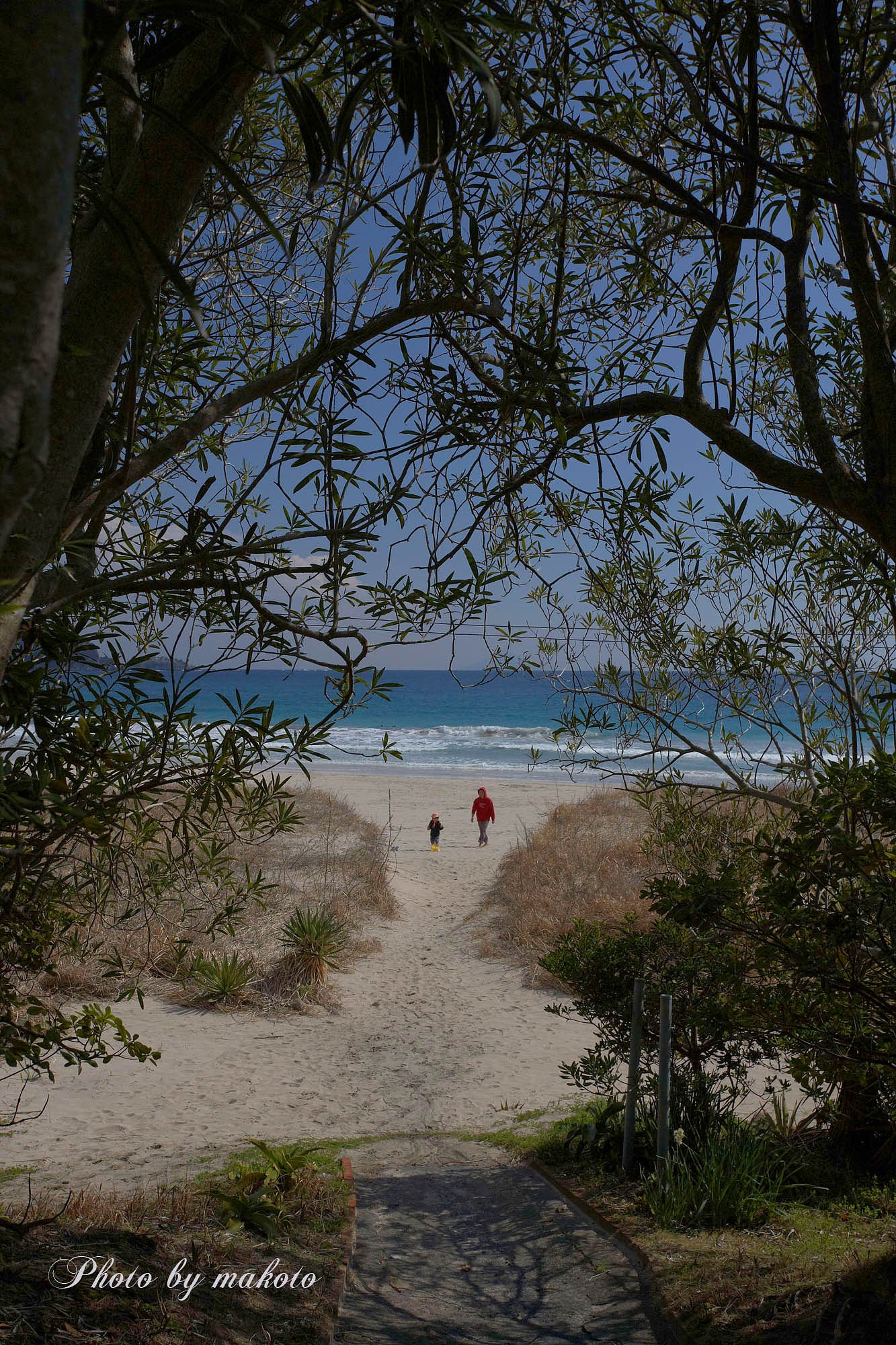 南の海を想って