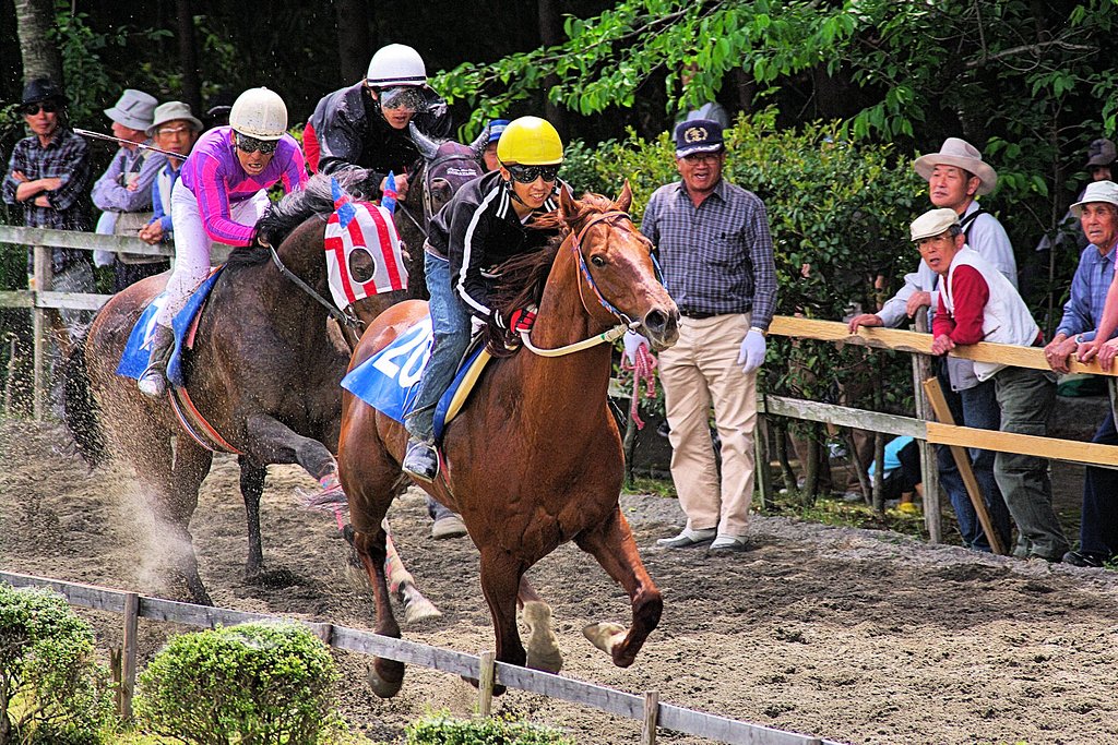 【清和】２０１０いなべ草競馬