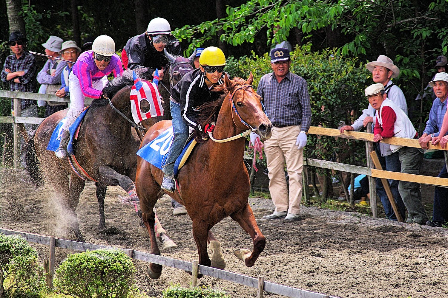 【清和】２０１０いなべ草競馬