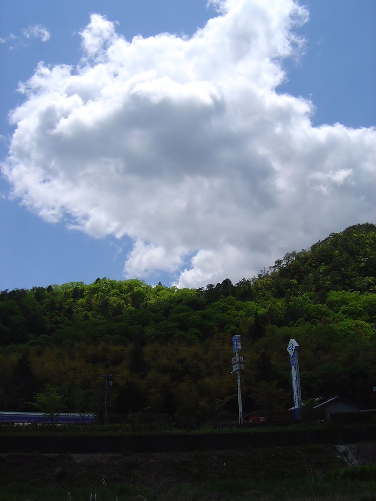 白い雲！