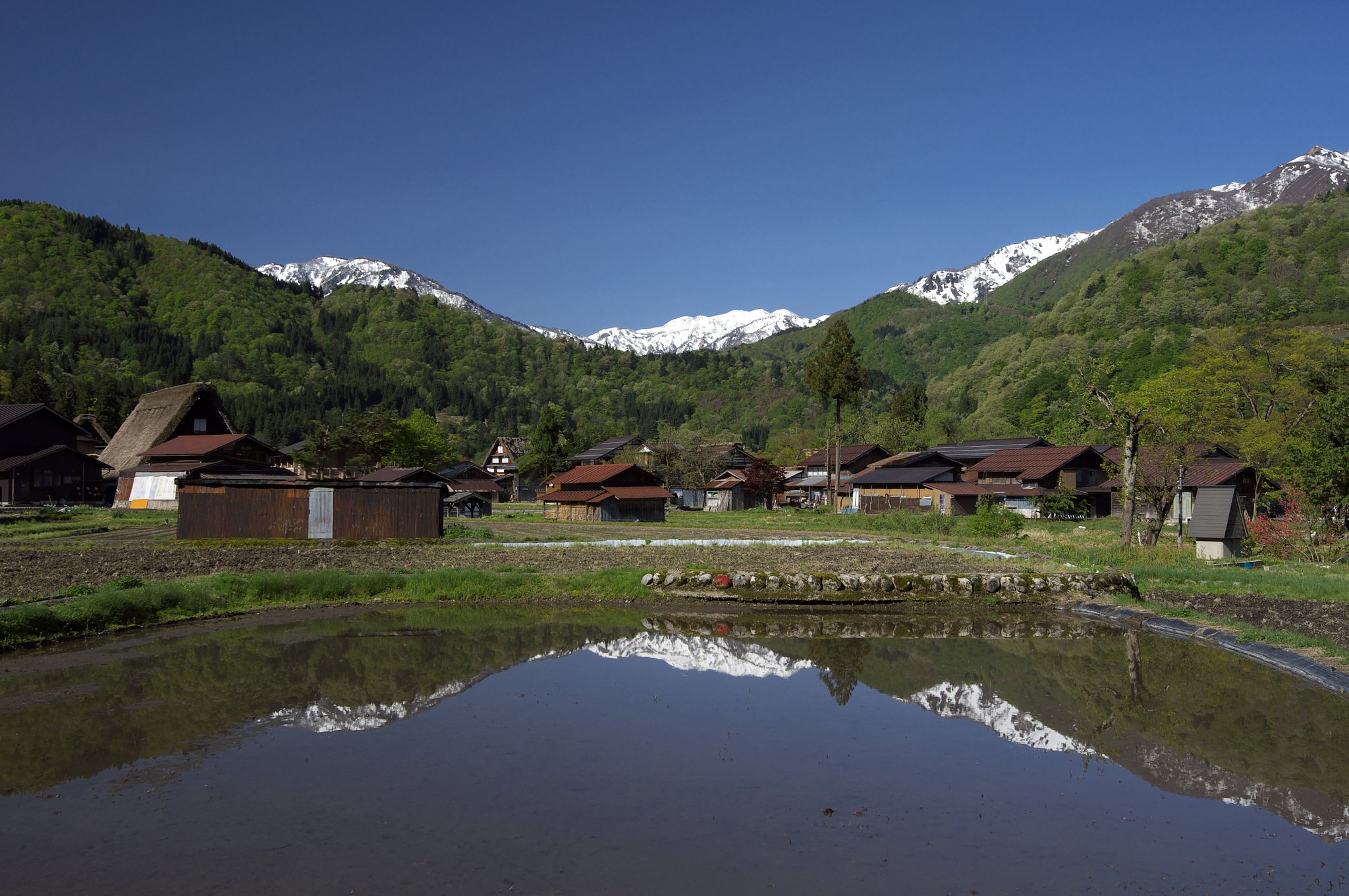 里山の春