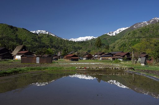 里山の春