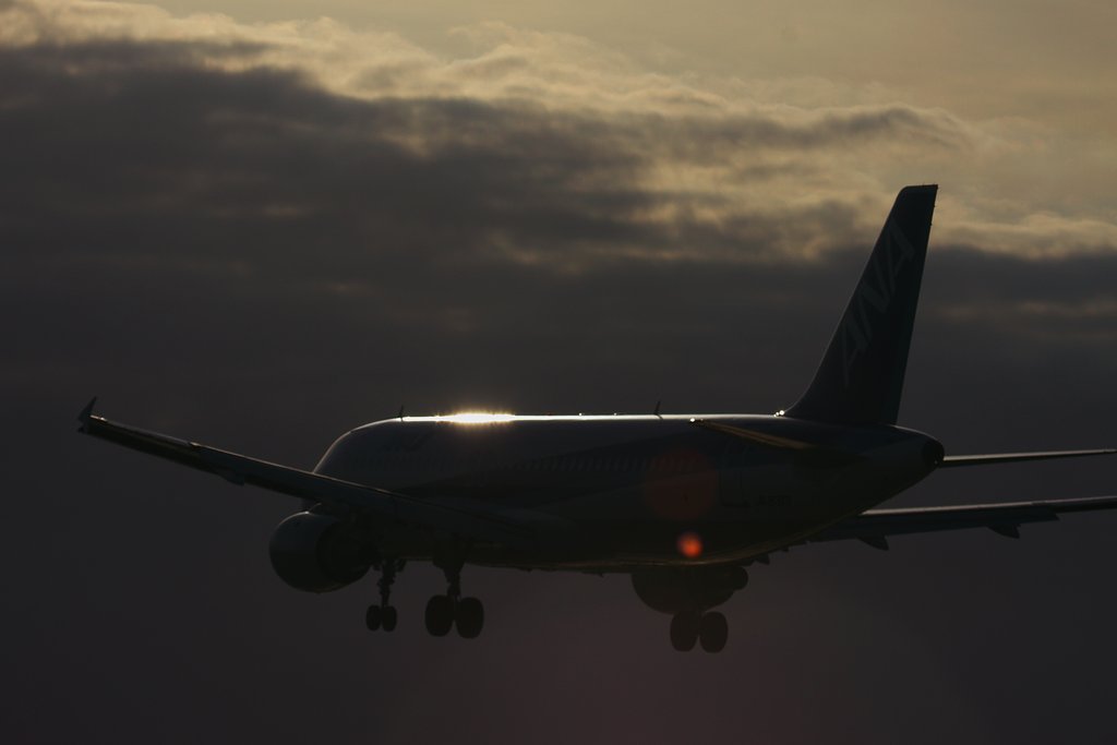 帰港