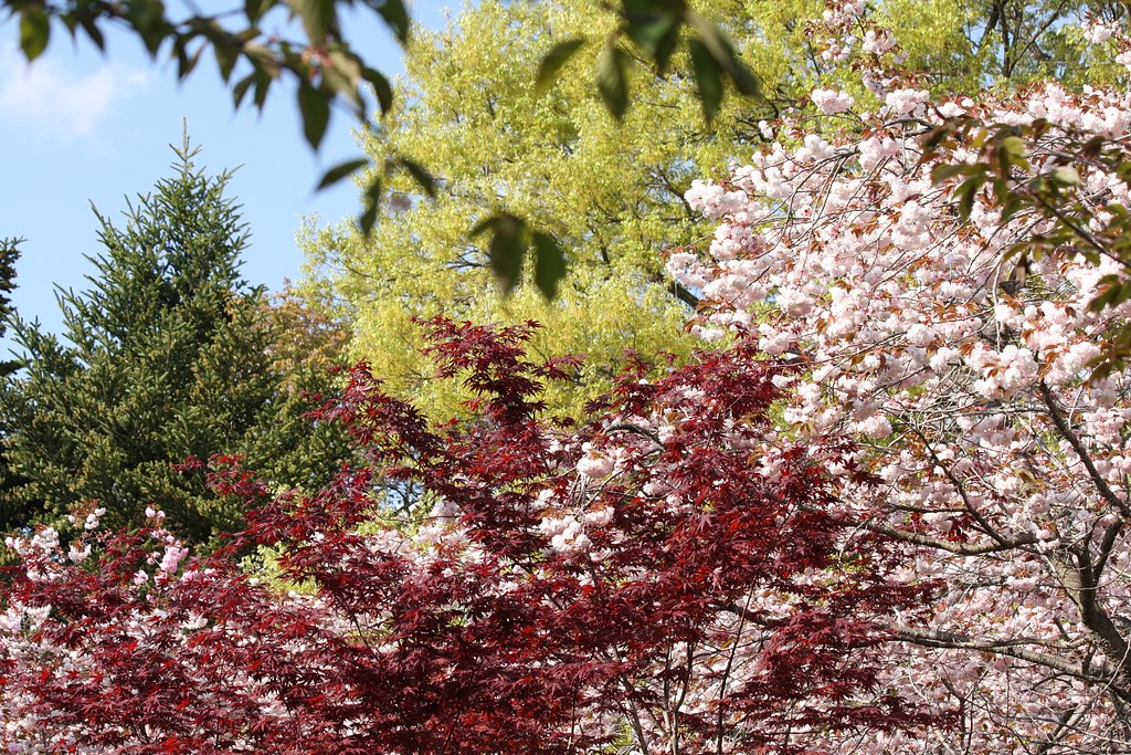 四色同居