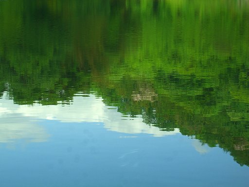 【清和】水面