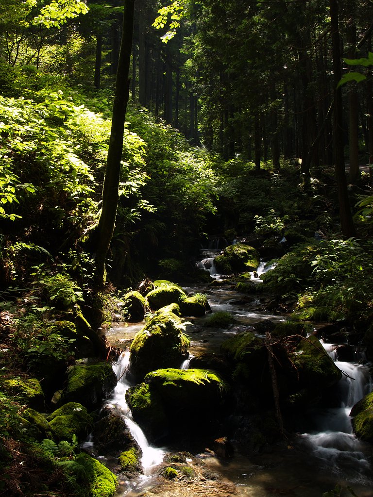 水の音だけ