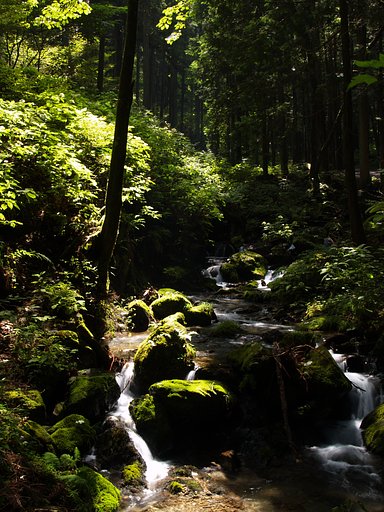 水の音だけ