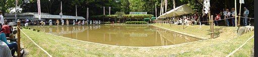 猿田彦神社　御田植祭
