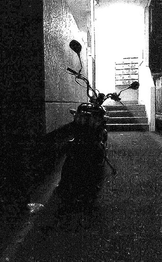 noisy night