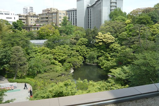 【清和】庭園