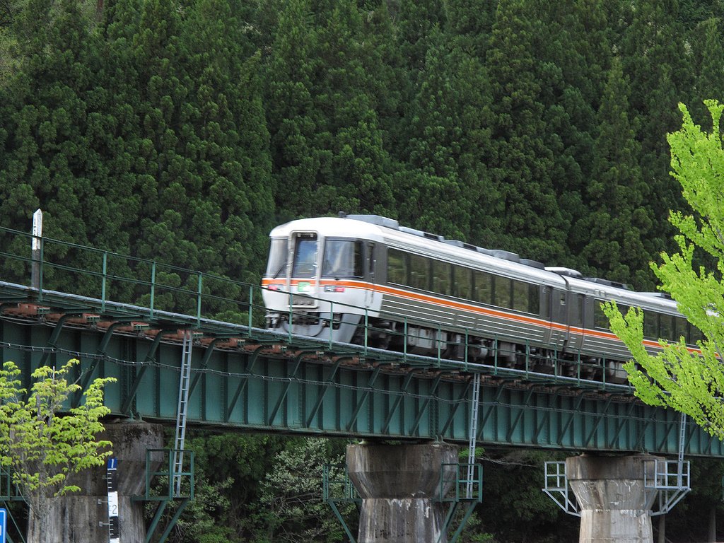 高山本線・ワイドビューひだ13号