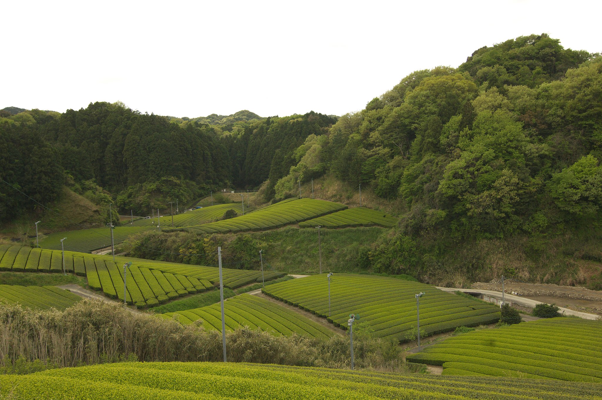 名も無い峠から