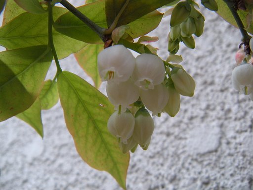 和み