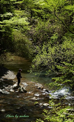渓流にて