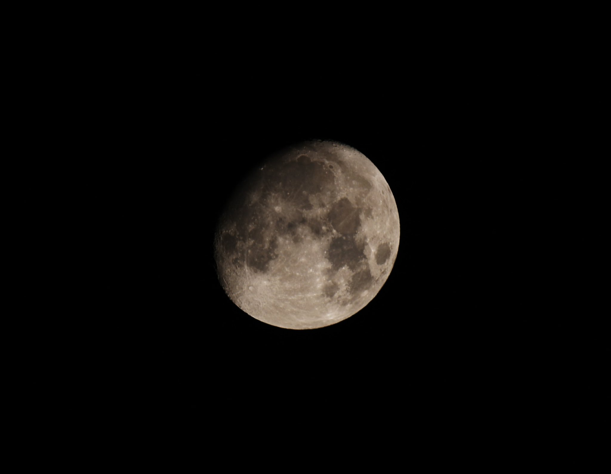 月齢11.8