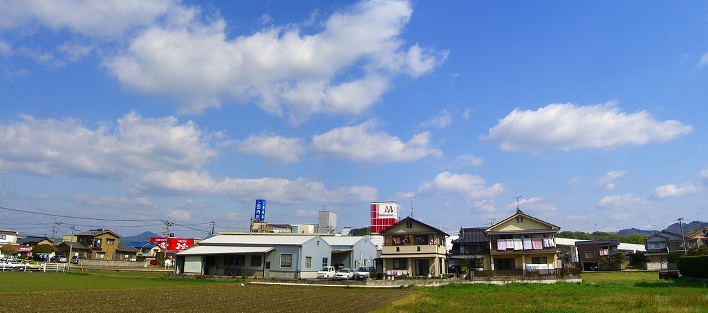 今日も快晴