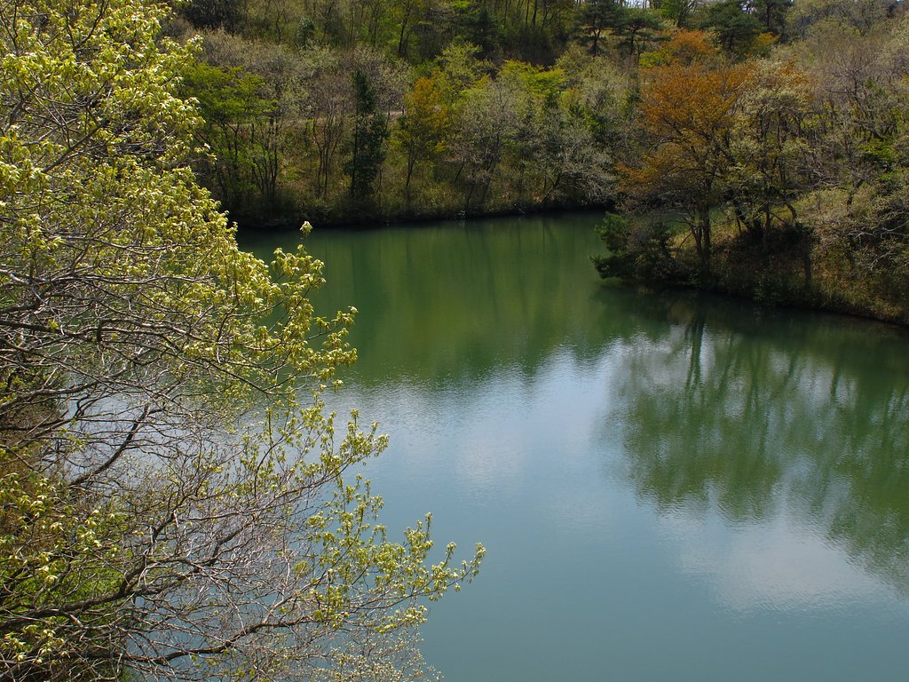 池のほとり