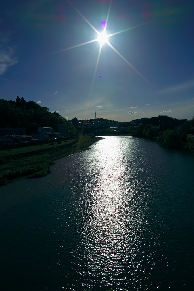 【清和】広瀬川午後の日差し