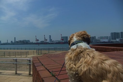 海を見る・・・