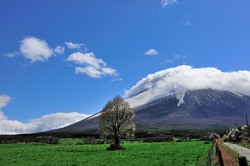 こぶしと岩手山