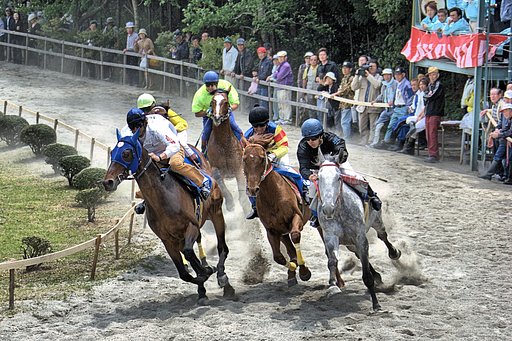 草競馬
