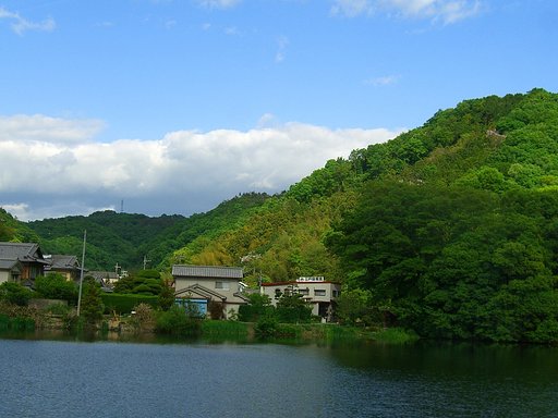 【清和】緑と水と青空と