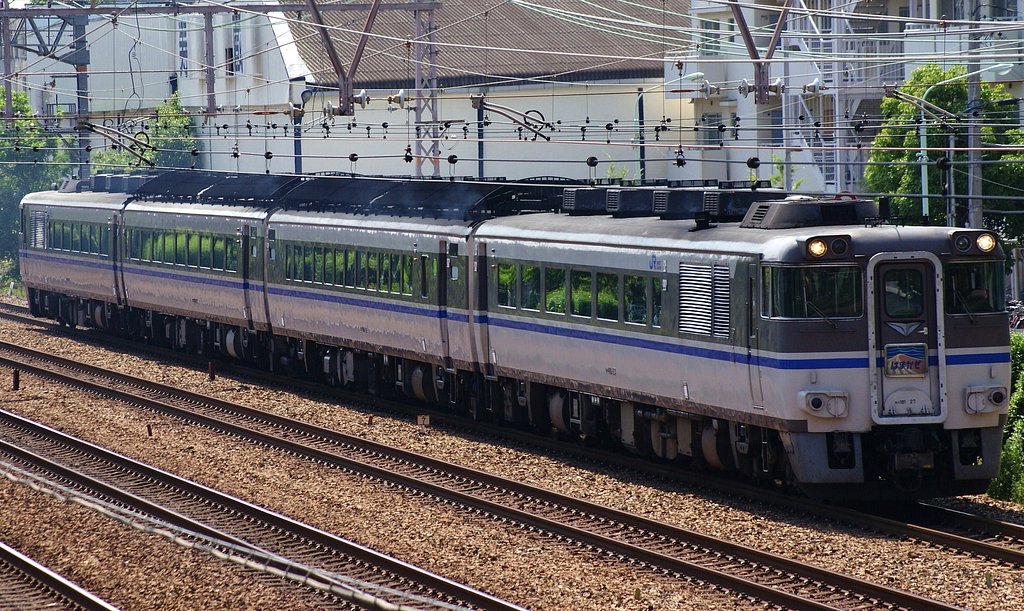老体に鞭打って頑張ってます