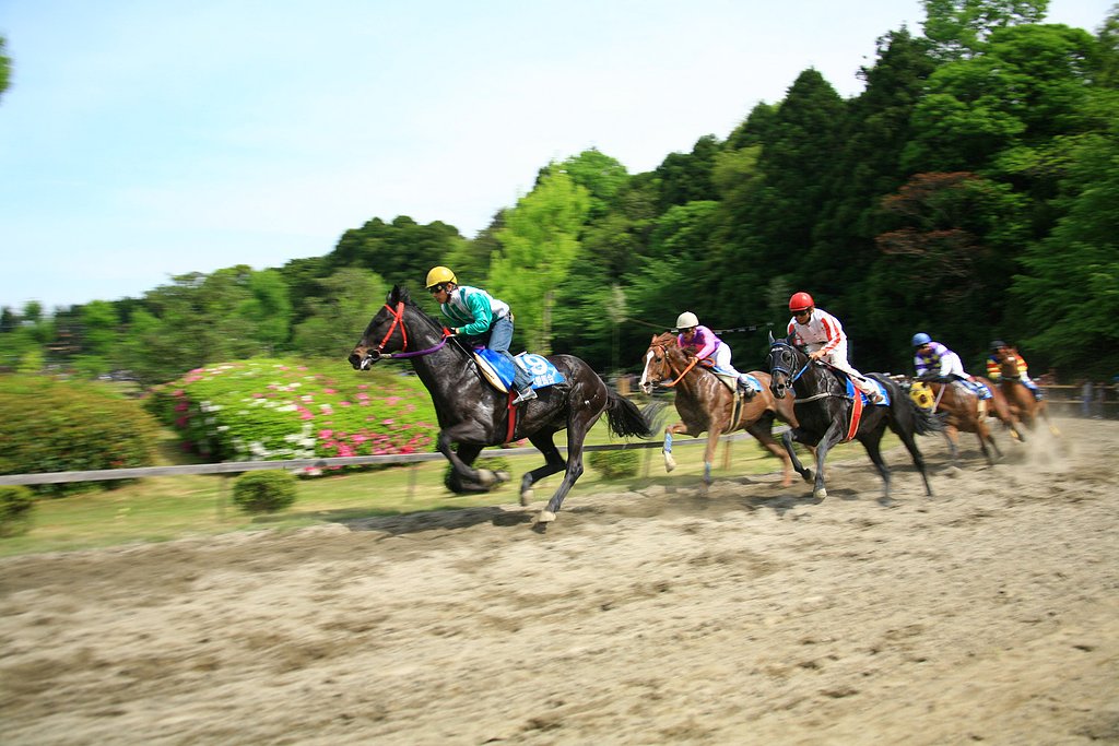 【清和】草競馬