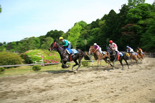 【清和】草競馬