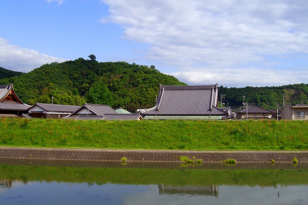 新緑の候