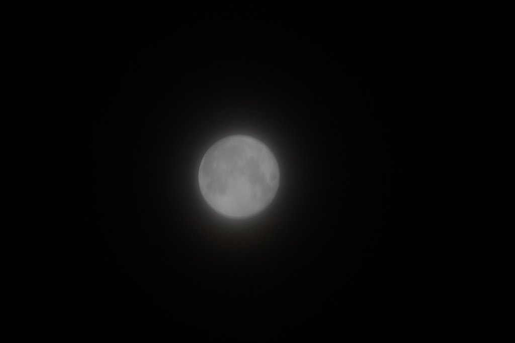 朧月