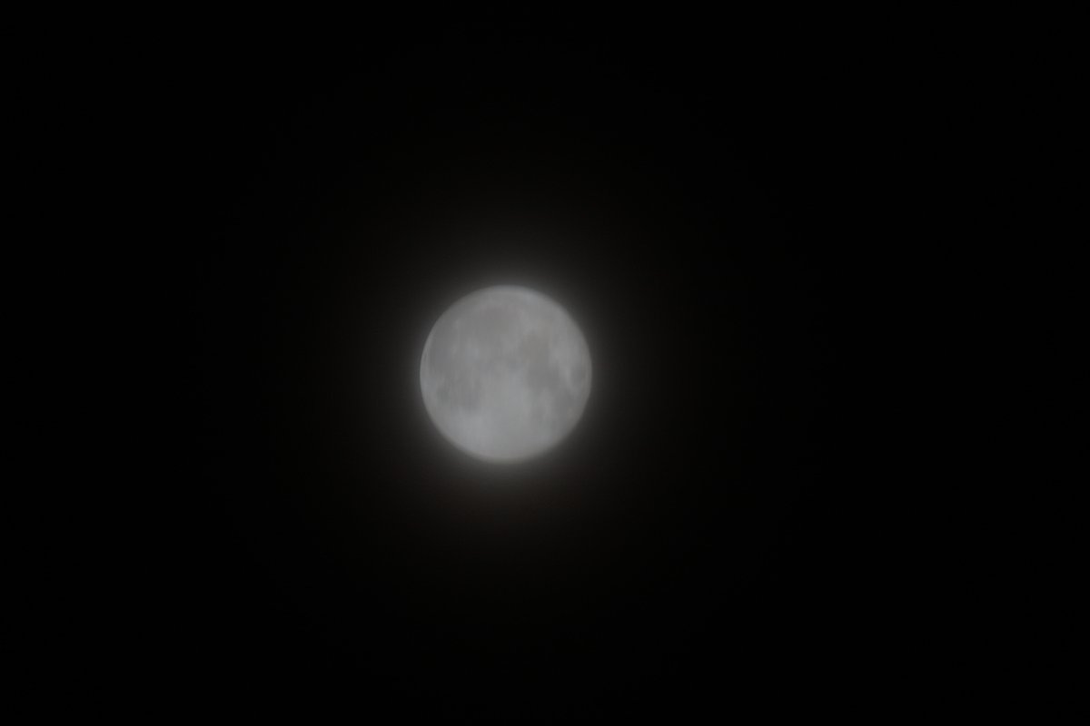 朧月