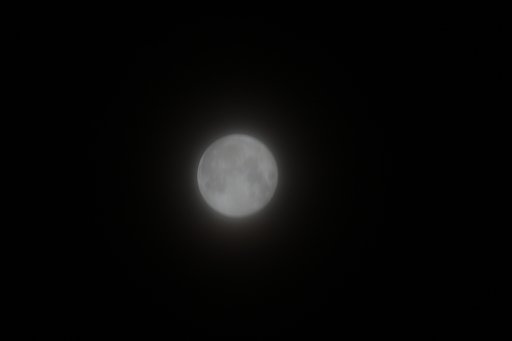 朧月