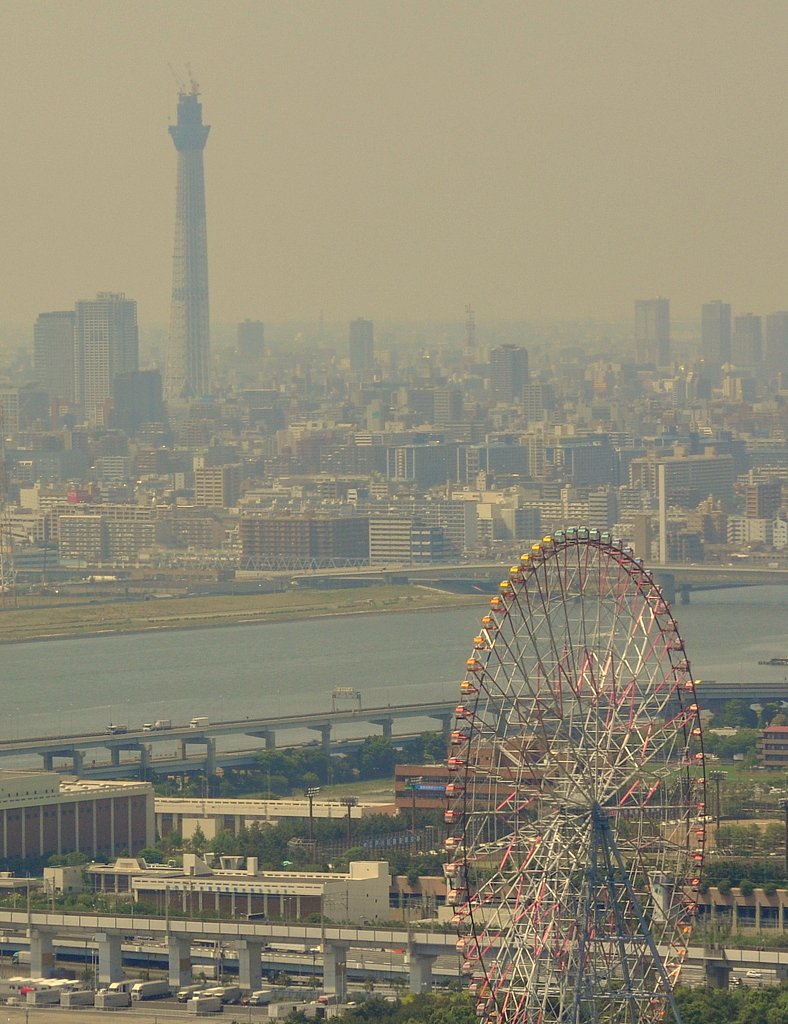 大観覧車と東京スカイツリー
