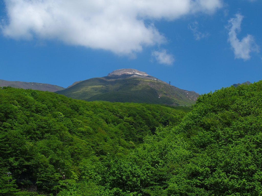 新緑と茶臼岳