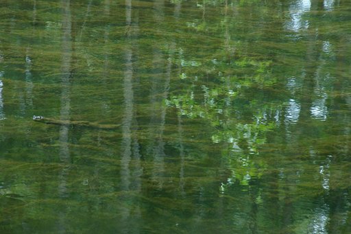 ボケてもぶれても．．．タルコフスキーの水面