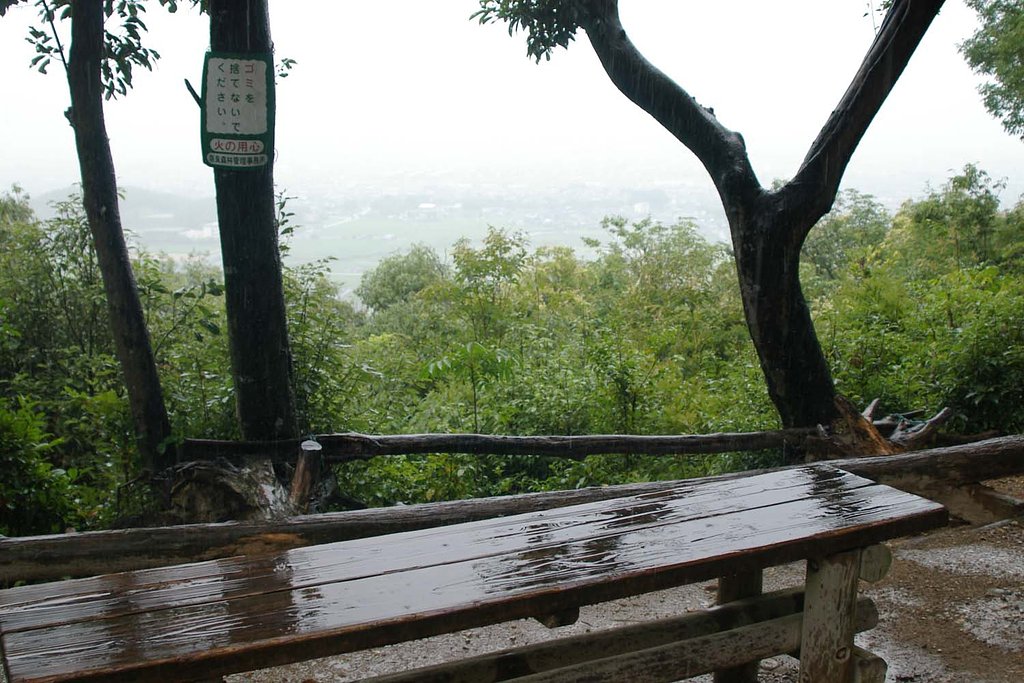 雨の畝傍山上
