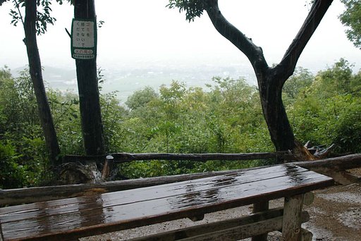 雨の畝傍山上