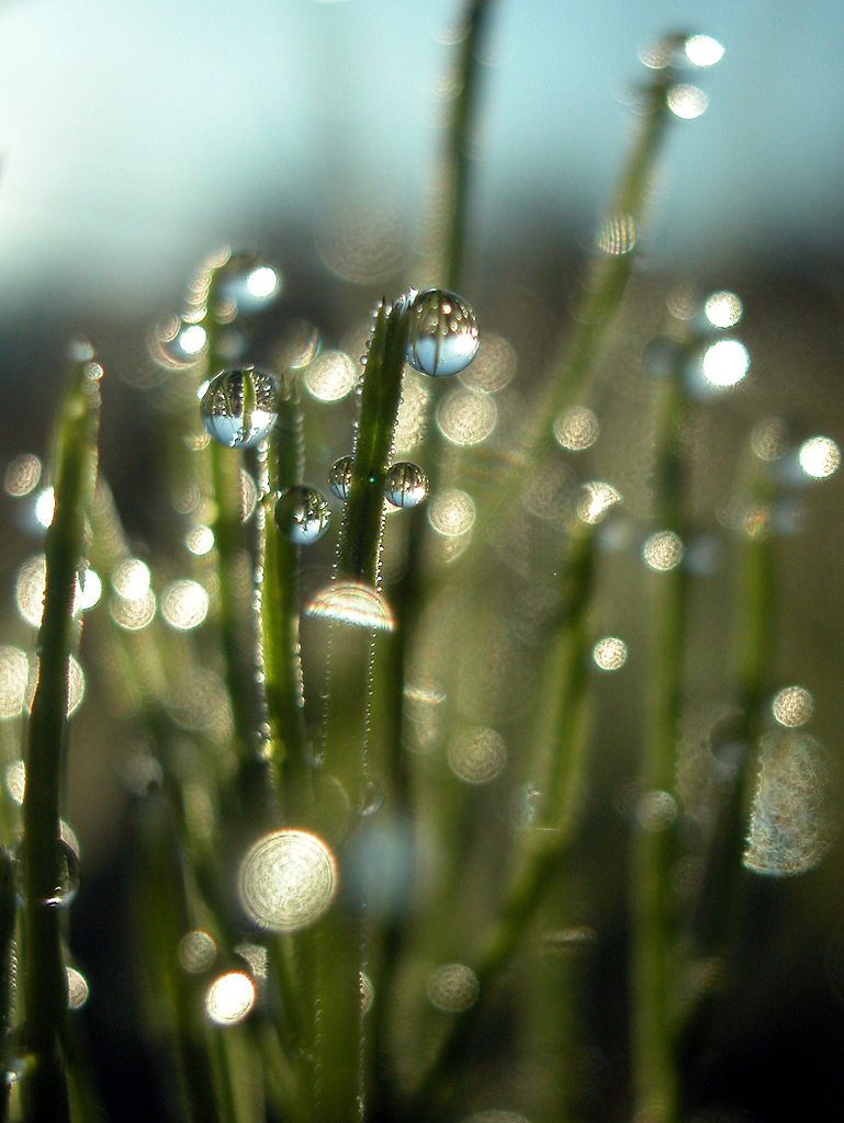 test2