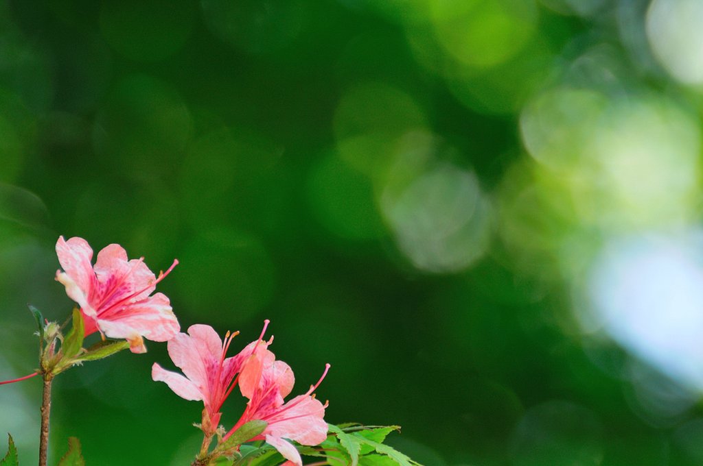 仲良し３人組み