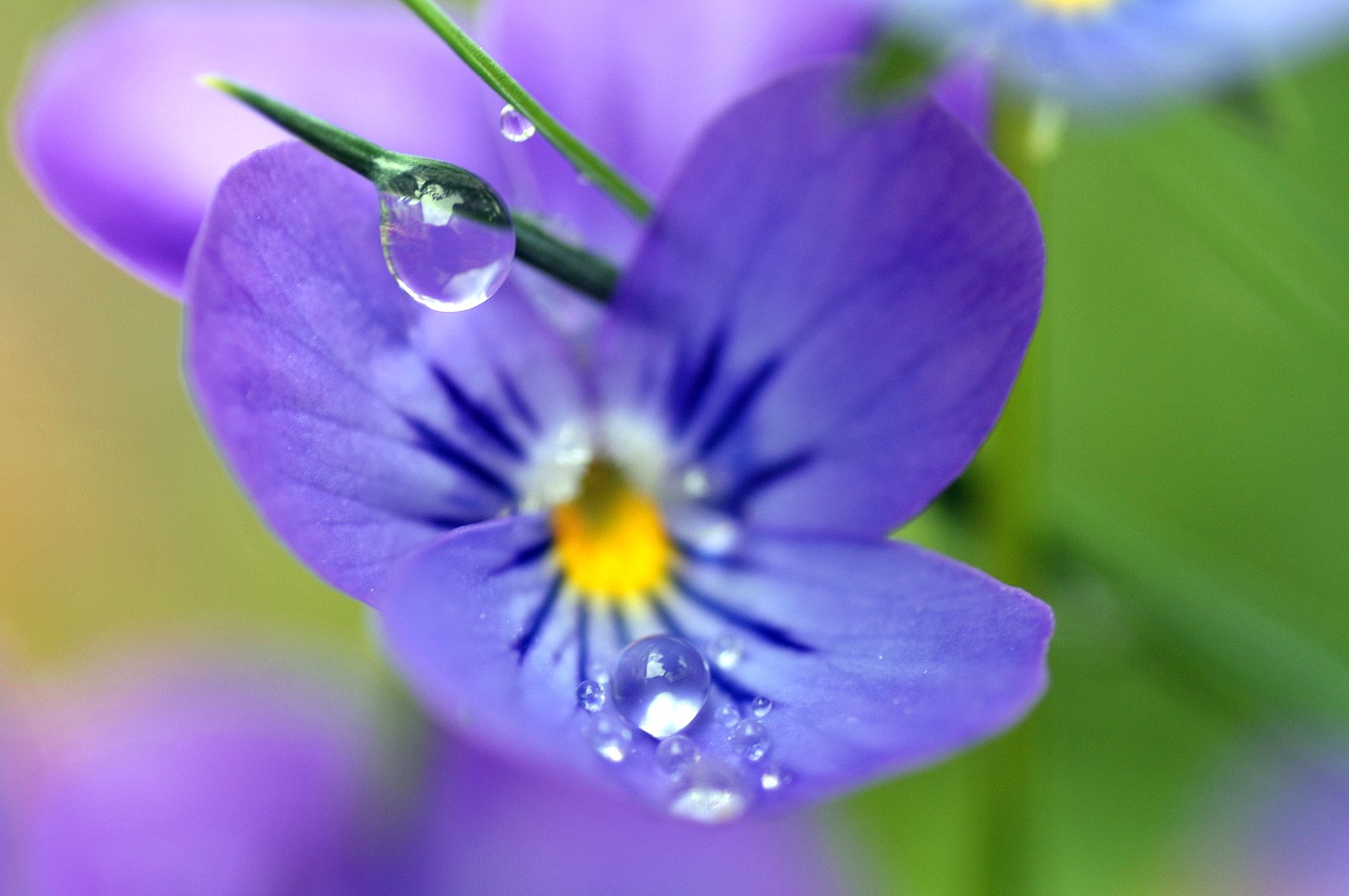 空からの便り