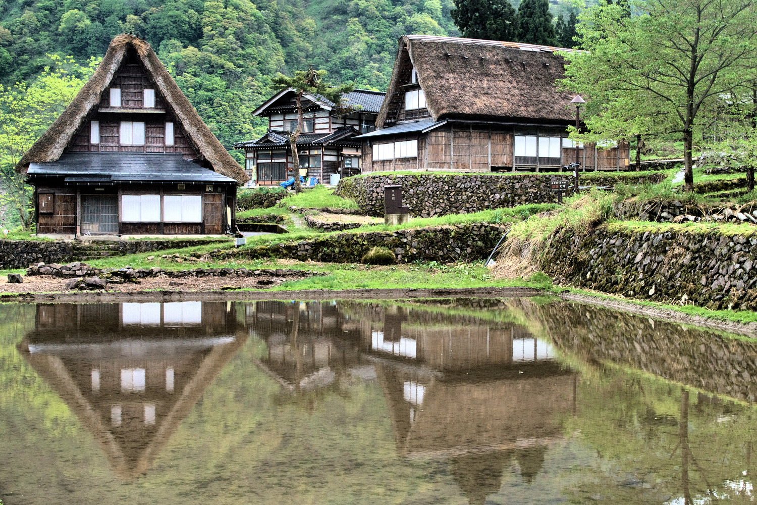 【清和】さあ　みんなで合掌！？