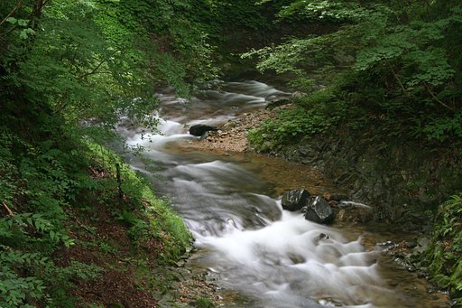 緑陰の渓流