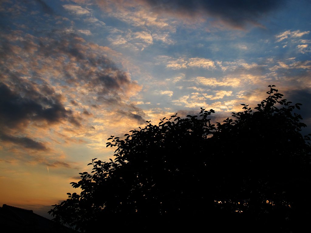 初夏の夕景