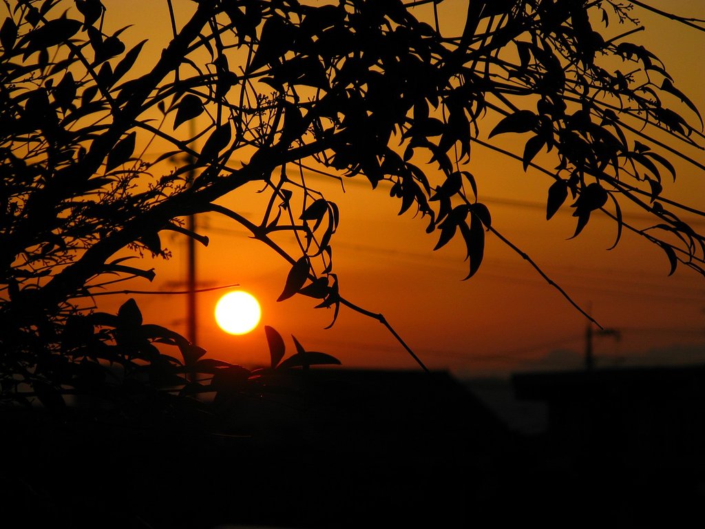 夕日
