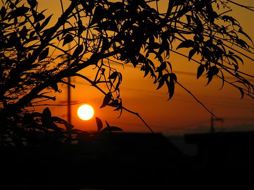 夕日