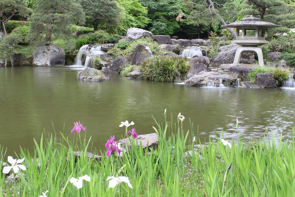 菖蒲